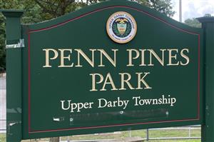 Penn Pines