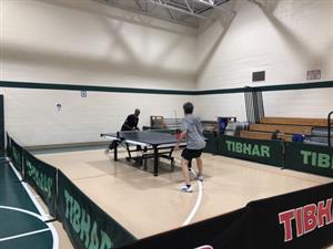 Table Tennis at Watkins