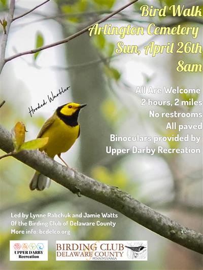 april bird walk