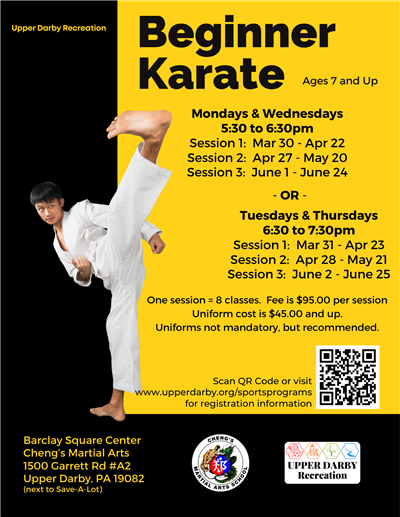26 spring beginner karate