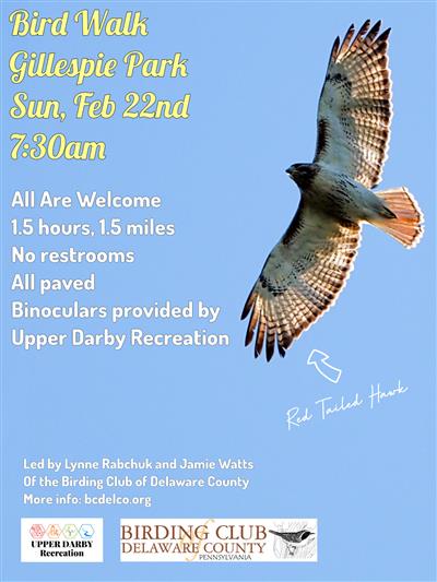 Feb Bird Walk