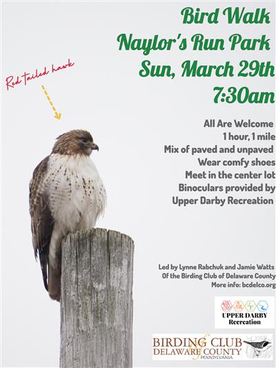 Mar Bird Walk
