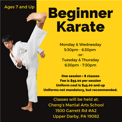 Beginner Karate