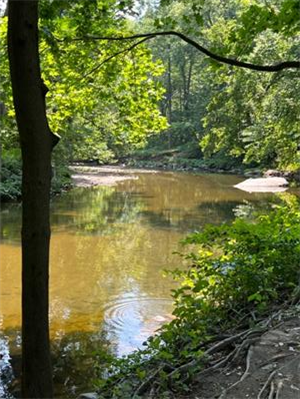 Darby Creek